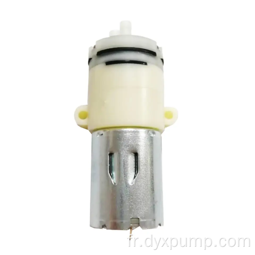 Pompe à eau micro 12V pour pompe à eau chaude